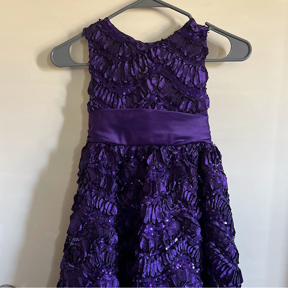 NWOT Rare Editions Girl Dress